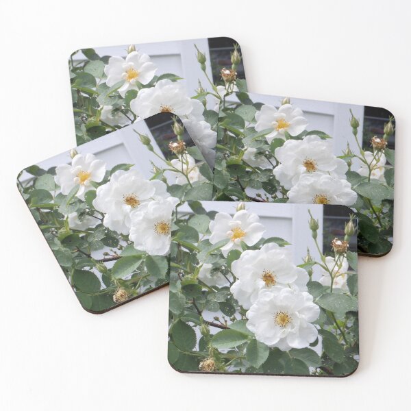 Item preview, White Roses 9: pure white flowers. designed and sold by Dustwood-Media.