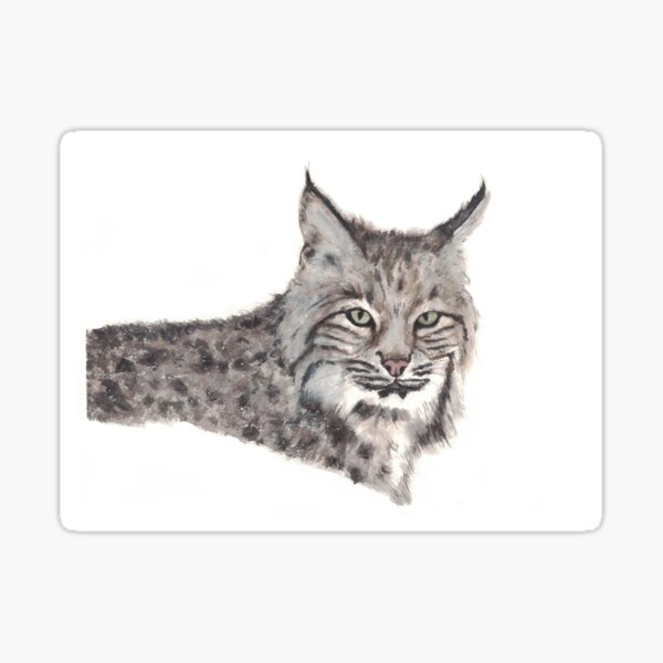 Vista previa del artículo con la obra «Majestuoso lince mirando fijamente – Impresión artística original en acuarela», diseñado y vendido por Furry Friends Watercolors.