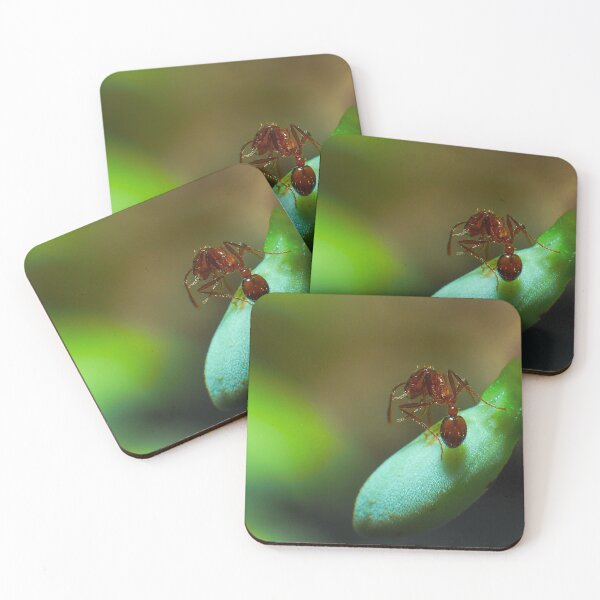 Item preview, Fire Ant and Aphids: A Close Encounter 4 designed and sold by jakkapan Tunyajaroen.