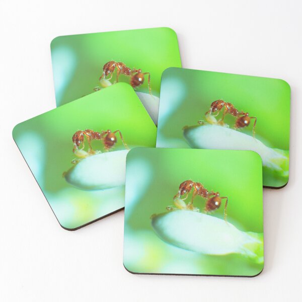 Item preview, Fire Ant and Aphids: A Close Encounter 5 designed and sold by jakkapan Tunyajaroen.