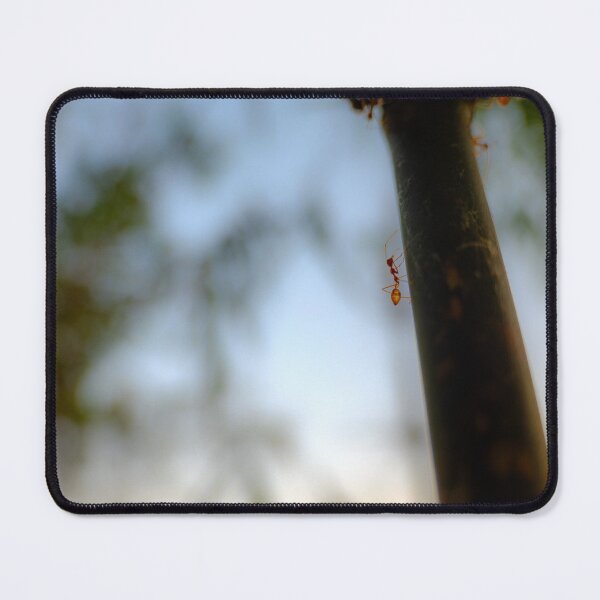 Item preview, Determined Ascent | Macro Ant Photography designed and sold by Chittara Arts.