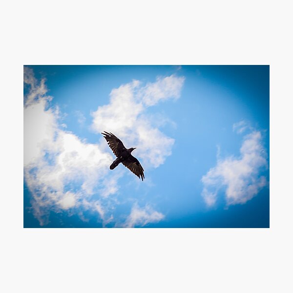 Item preview, In the Skies Above designed and sold by AJFphotoworks.