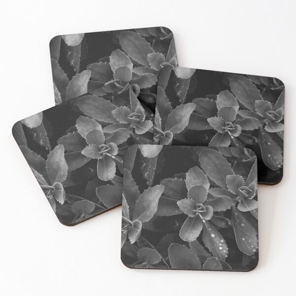 Item preview, Butterfly Stonecrop (B/W) designed and sold by Crystal Vision Photo Art.
