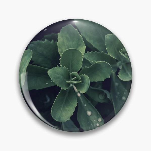 Item preview, Butterfly Stonecrop designed and sold by Crystal Vision Photo Art.