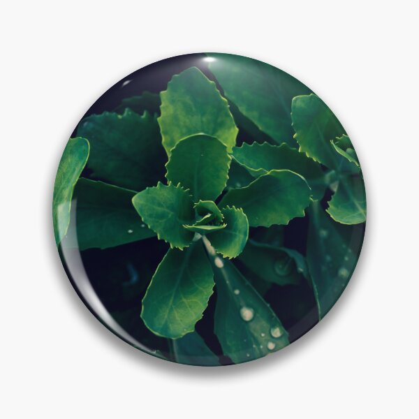 Item preview, Butterfly Stonecrop (Vivid) designed and sold by Crystal Vision Photo Art.