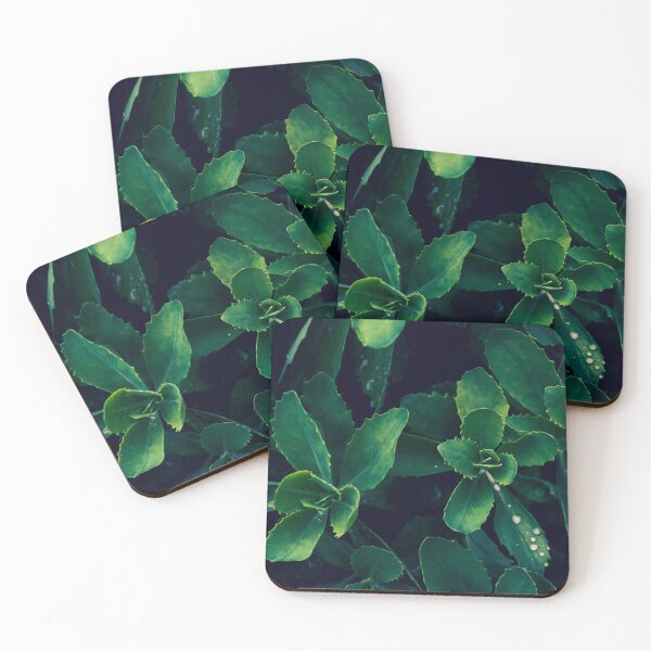 Item preview, Butterfly Stonecrop (Vivid) designed and sold by Crystal Vision Photo Art.