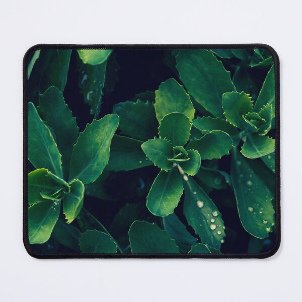 Item preview, Butterfly Stonecrop (Vivid) designed and sold by Crystal Vision Photo Art.
