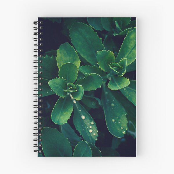 Item preview, Butterfly Stonecrop (Vivid) designed and sold by Crystal Vision Photo Art.