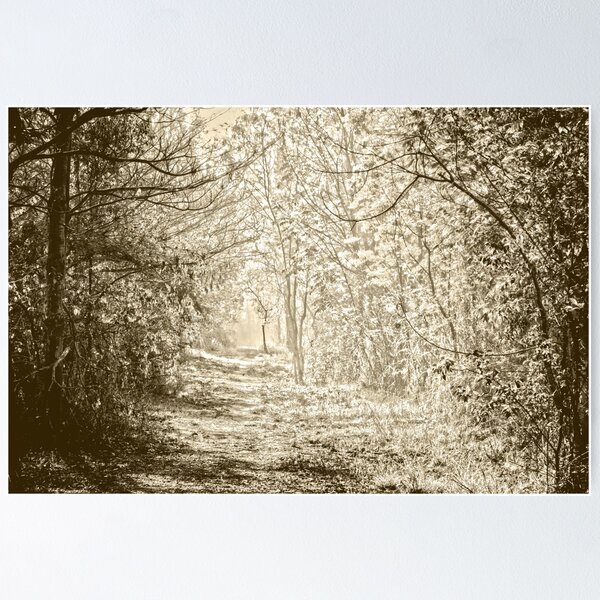 Item preview, Whispering Path to Serenity designed and sold by Chittara Arts.