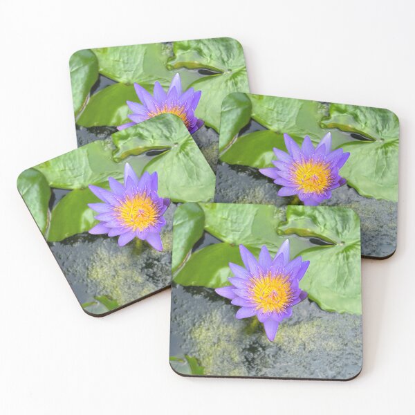 Item preview, Purple Lily Flower at Jogyesa Temple in Seoul, South Korea designed and sold by YemmyZImages.