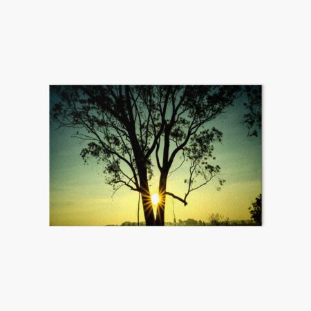 Item preview, Golden Embrace | Sunlight Through the Tree designed and sold by Chittara Arts.