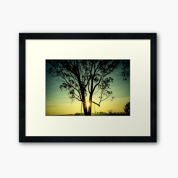 Item preview, Golden Embrace | Sunlight Through the Tree designed and sold by Chittara Arts.