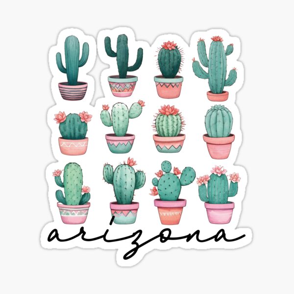 Item preview, Arizona potted cactus designed and sold by Seeds of Change.