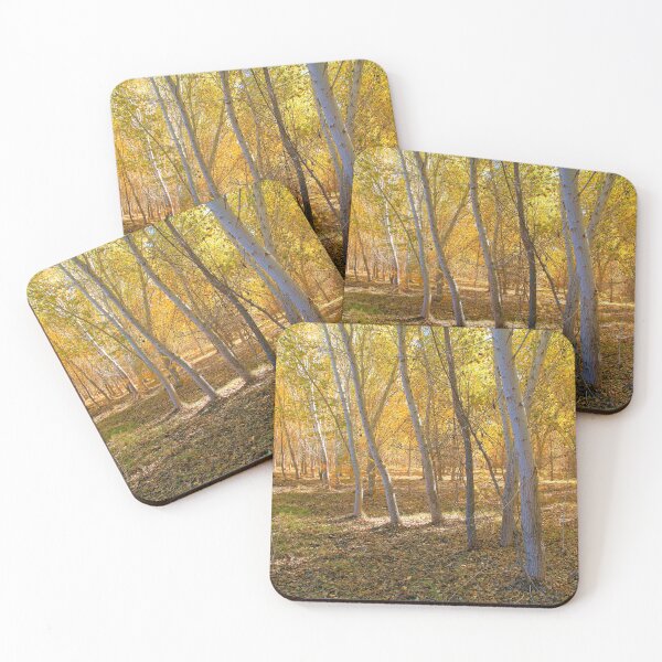 Item preview, Golden Light Aspen Tree Forest designed and sold by RocketshipRetro.