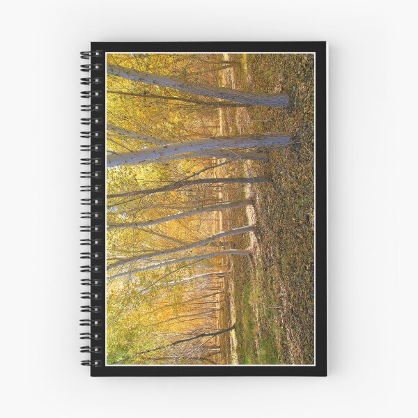 Item preview, Golden Light Aspen Tree Forest designed and sold by RocketshipRetro.