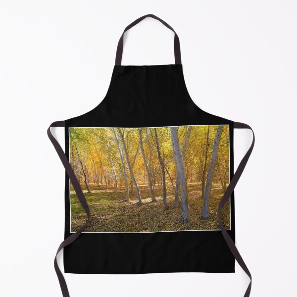 Item preview, Golden Light Aspen Tree Forest designed and sold by RocketshipRetro.