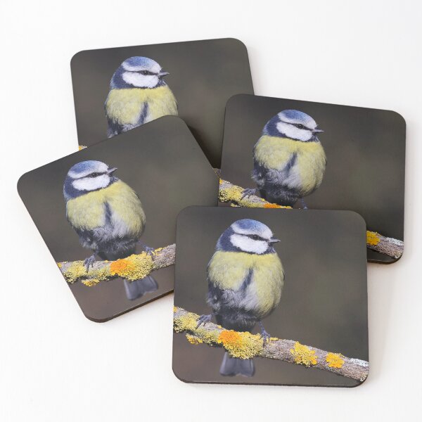 Item preview, The Eurasian blue tit designed and sold by Tom McPherson Photography.