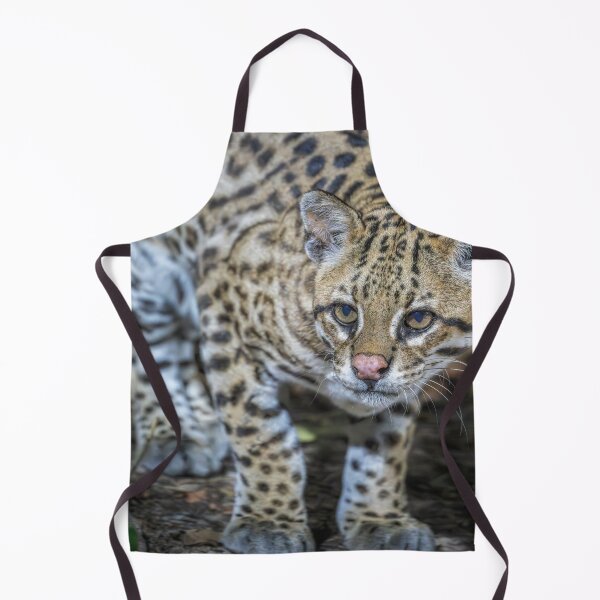 Item preview, Ocelot 2 Pantanal Brazil designed and sold by PhotoArt by Joan Carroll.