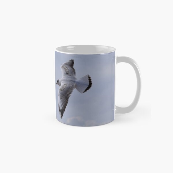 Juvenile Black Headed Gull Classic Mug