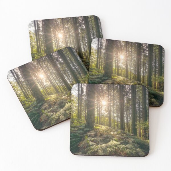 Item preview, Acquerino Forest Sunlight, Tuscany designed and sold by Stefano Orazzini.