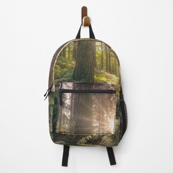 Item preview, Acquerino Forest Sunlight, Tuscany designed and sold by Stefano Orazzini.