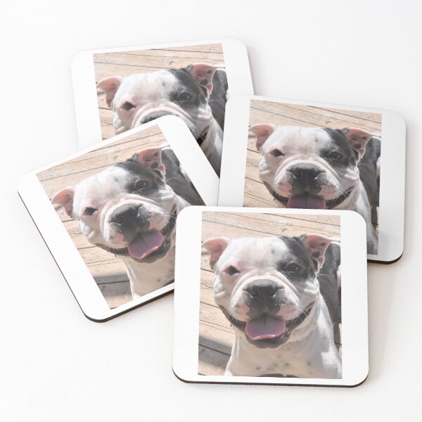 Item preview, Buddy designed and sold by Dilillo2025.