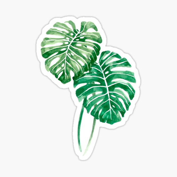 Item preview, Monstera deliciosa 2 designed and sold by Luli Reis.