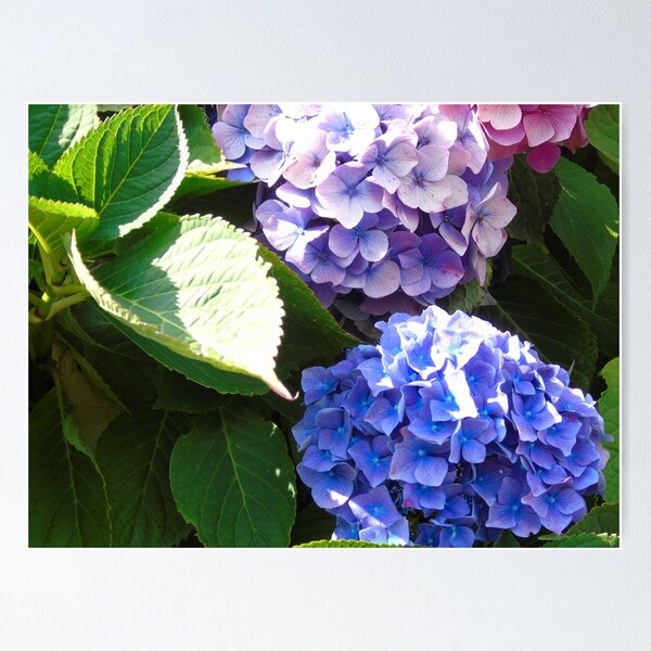 Item preview, Shades of blue... designed and sold by ART22.