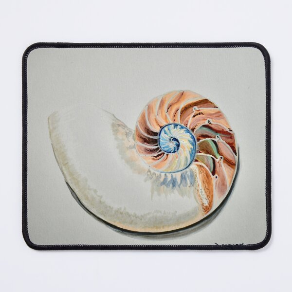 Item preview, Sea shell half shell designed and sold by DCfineArt.