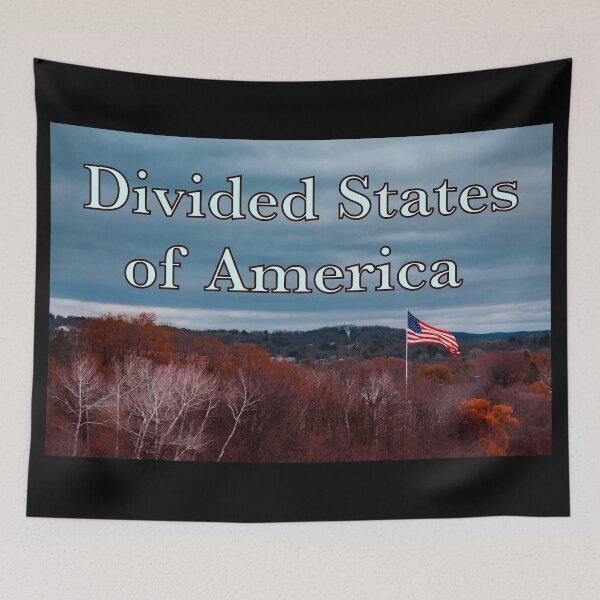 Item preview, Divided States of America - Bold Minimalist Design designed and sold by aadventures.
