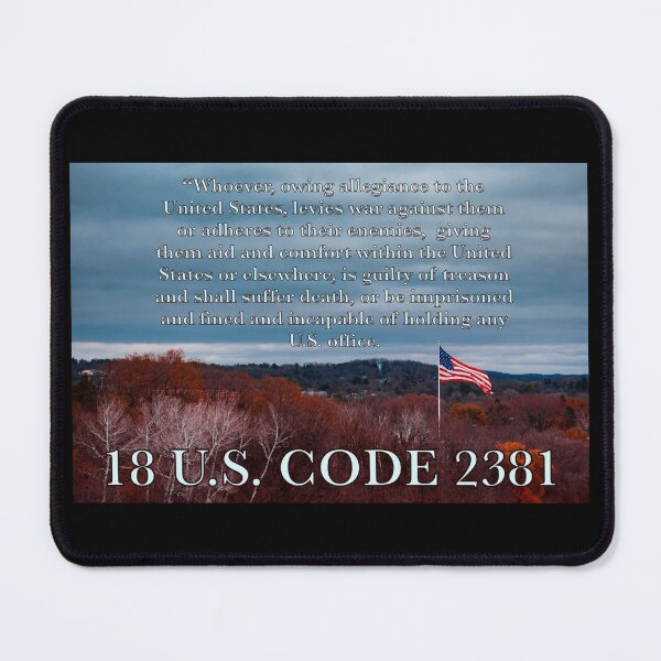 Item preview, 18 U.S. Code 2381 - Treason Law Quote - Protest Art designed and sold by aadventures.