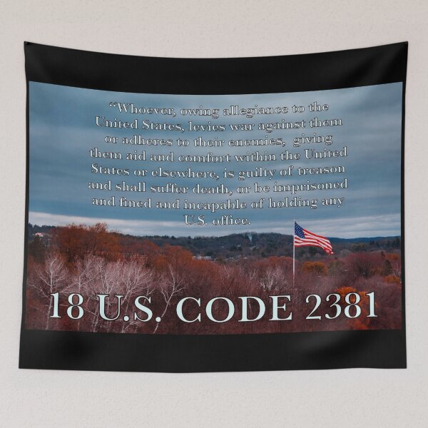 Item preview, 18 U.S. Code 2381 - Treason Law Quote - Protest Art designed and sold by aadventures.