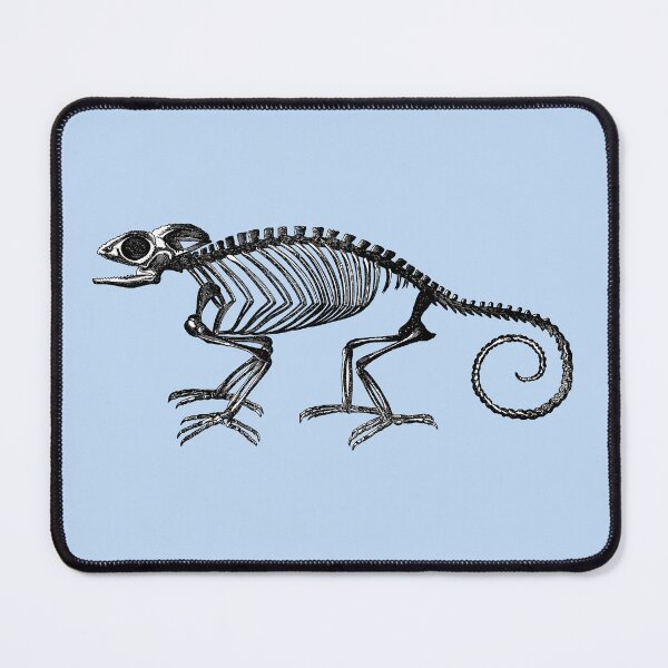 Item preview, Antique Science Illustration Chameleon Lizard Skeleton designed and sold by Pixelchicken.