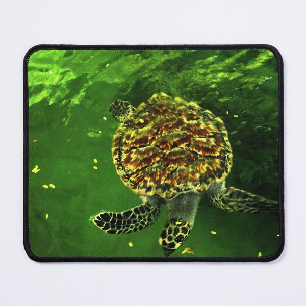 Item preview, Turtle Deep designed and sold by STGEEVES.