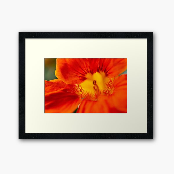 Item preview, Macro nasturtiums  designed and sold by Prince of Nature.