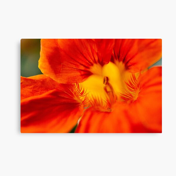 Item preview, Macro nasturtiums  designed and sold by Prince of Nature.