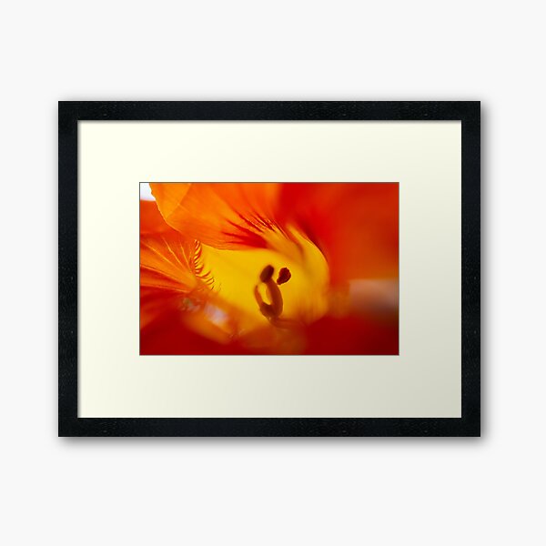 Item preview, Macro nasturtiums 2 designed and sold by Prince of Nature.