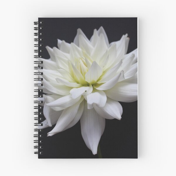 Item preview, White Dahlia designed and sold by Justina Legoe.