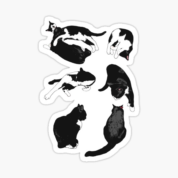 Artikel-Vorschau von Süßes Streunendes Katzenbild 6., designt und verkauft von Soheemanga.