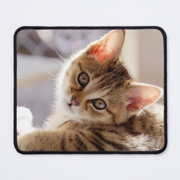 Item preview, Best Pose designed and sold by STGEEVES.