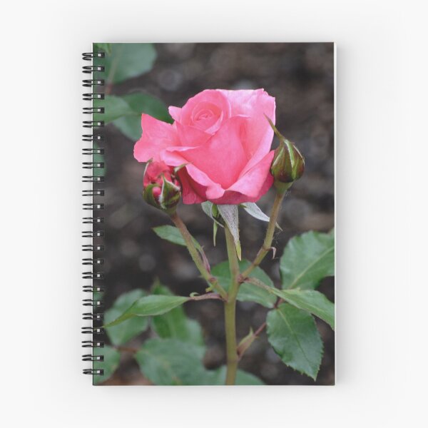 Item preview, My Pink Rose Bud #5 designed and sold by ginawaltersdorf.