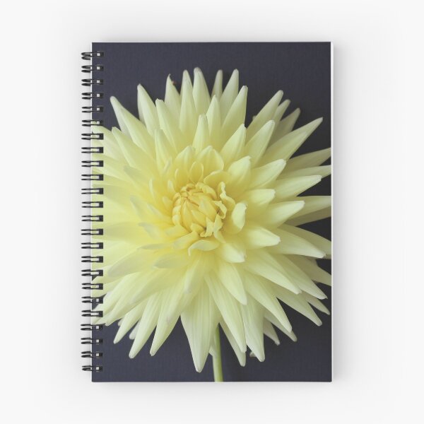 Artikelvorschau, Yellow Dahlia entworfen und verkauft von Justina Legoe.