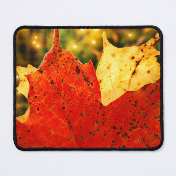 Item preview, Leaves in a fairy lights glow designed and sold by NatsVision.
