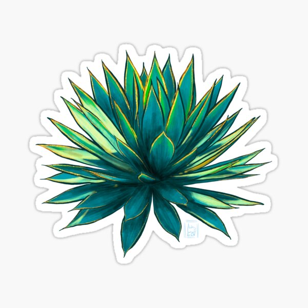 Succulent Jewels: Blue Flame Agave Sticker