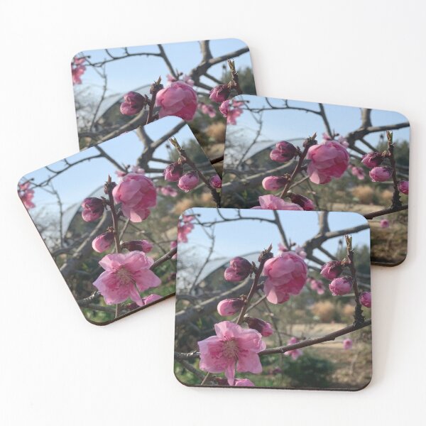 Item preview, Peach flowering designed and sold by agnessa38.