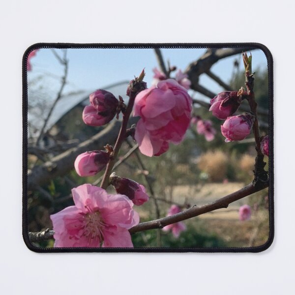 Item preview, Peach flowering designed and sold by agnessa38.