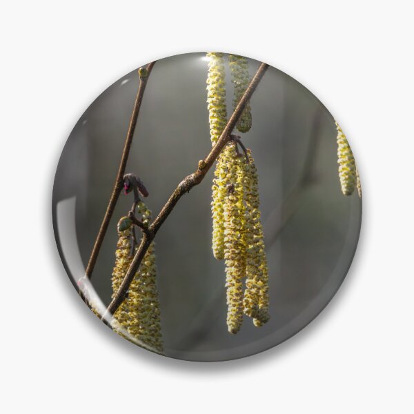 Item preview, Spring Catkins Flowers designed and sold by John Hodges.