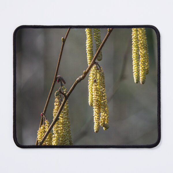 Item preview, Spring Catkins Flowers designed and sold by John Hodges.