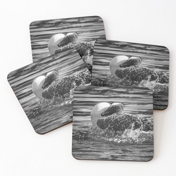 Item preview, Bathtime Goose B&W designed and sold by John Hodges.