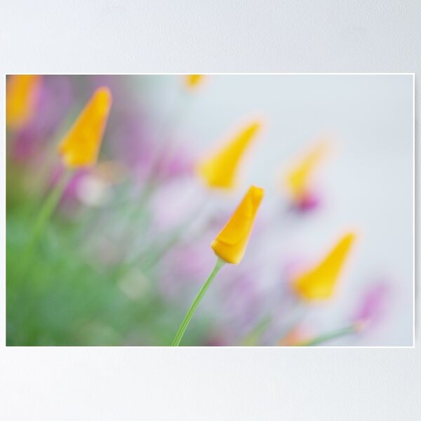 Springtime Wonder Poster